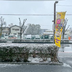 今日は雪！